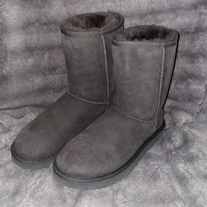 Brand new Class short Uggs!!